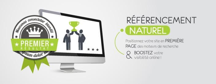 Référencement naturel