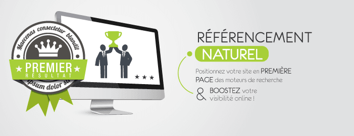 agence-referencement-vannes