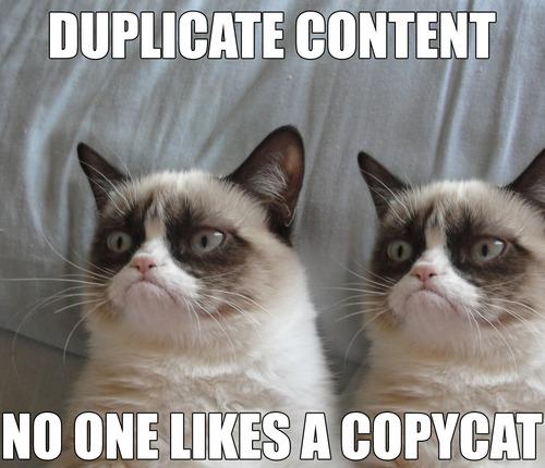 duplicate-content