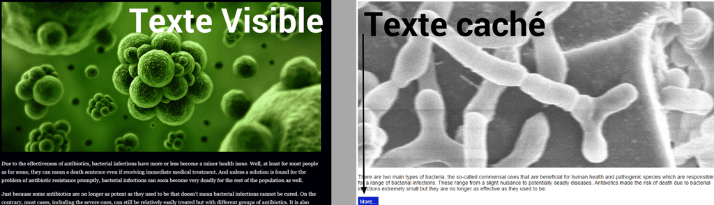 texte visible et texte caché google