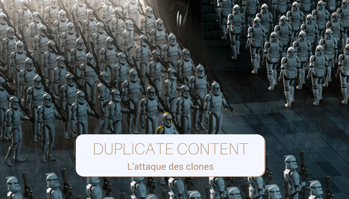 duplicate content, near duplicate et bonnes pratiques seo