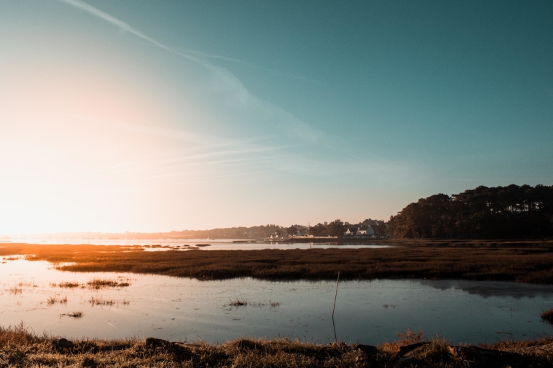 Comment créer une newsletter attrayante pour vos clients dans le Morbihan