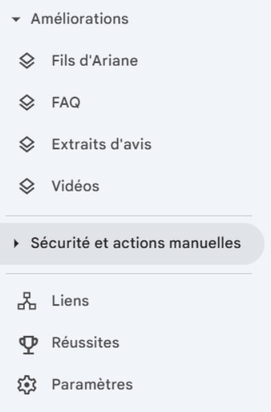 Pénalité manuelle google 